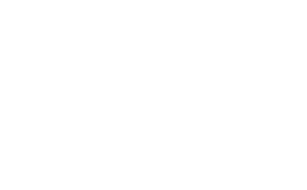 Azim Group